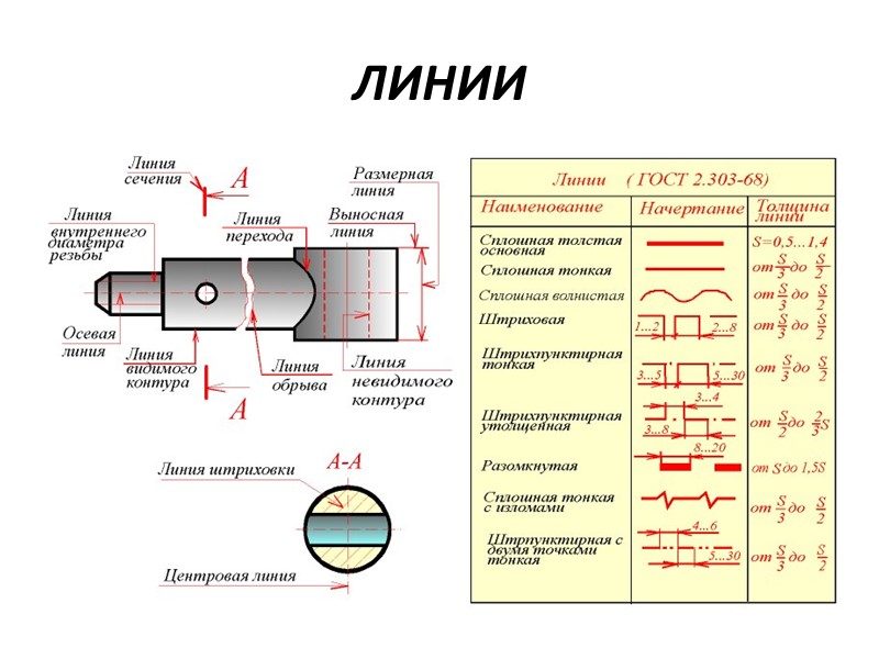 ЛИНИИ